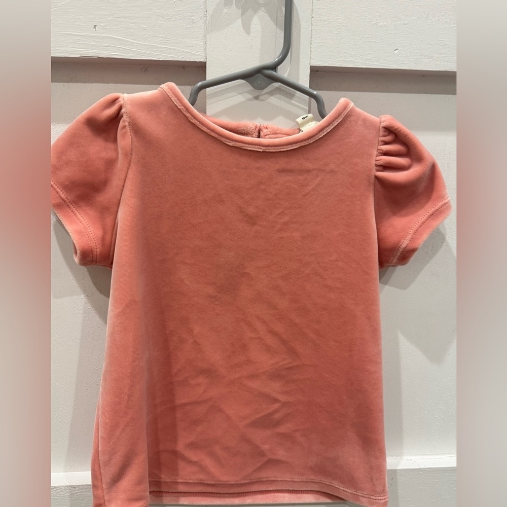 Mini Boden Velvet Puff Sleeve Top
